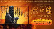 欧美伊人久久